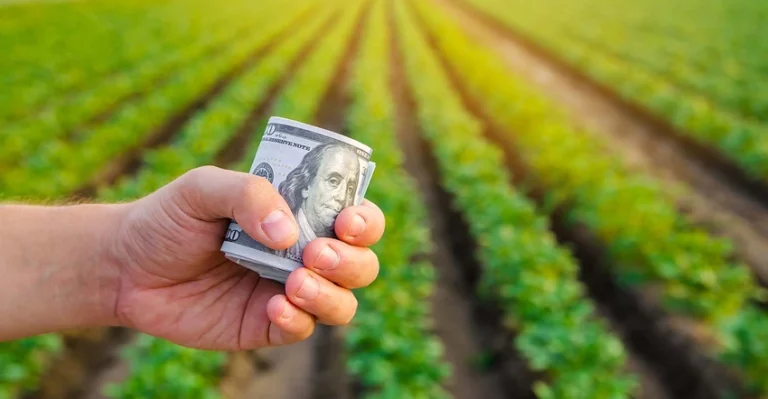 Harvesting Profits: A Guide to Monetizing Your Farm Produce